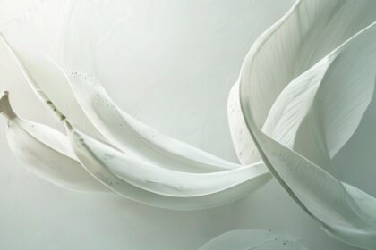 Nature Abstract Art Minimalist White 4K Wallpaper