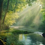 Luxury 4K nature wallpaper featuring a pristine forest, lush greenery, and a serene river. High-definition natural landscape background.